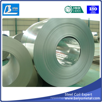 Hot Dipped Gi Galvanized Steel Coils